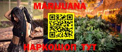 сатива Новозыбков