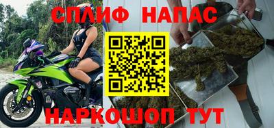 сатива Новозыбков