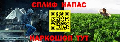 сатива Новозыбков