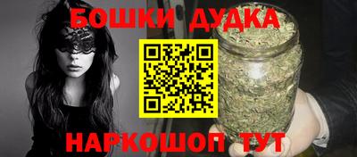 сатива Новозыбков