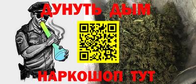 сатива Новозыбков