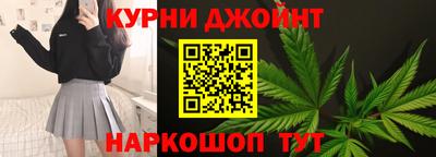 сатива Новозыбков