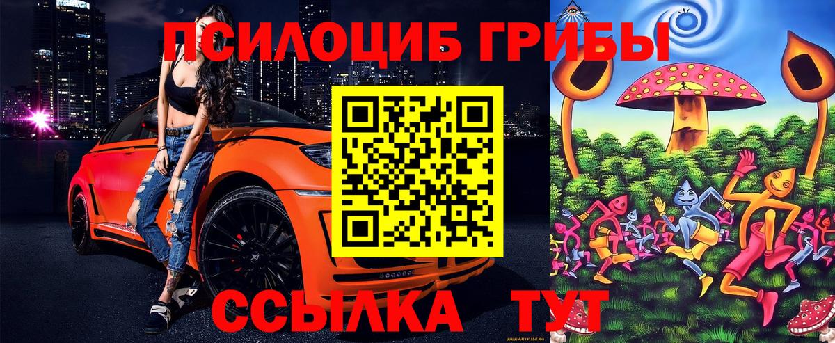 Галлюциногенные грибы GOLDEN TEACHER Сокол
